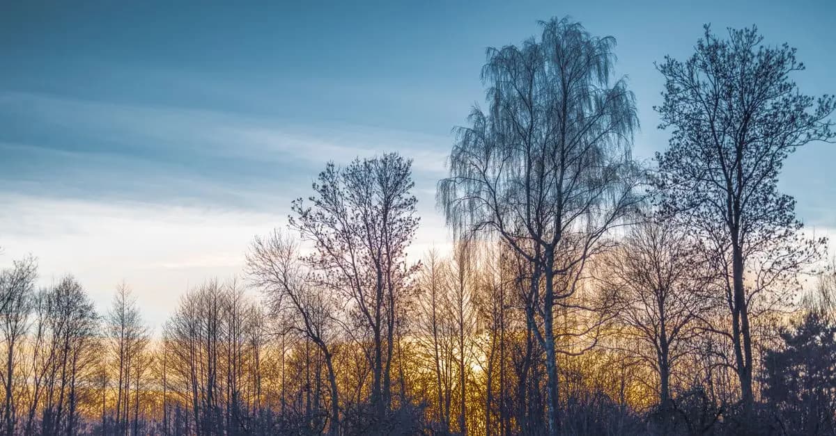 Understanding the Power of Color Theory in Artistic Photography