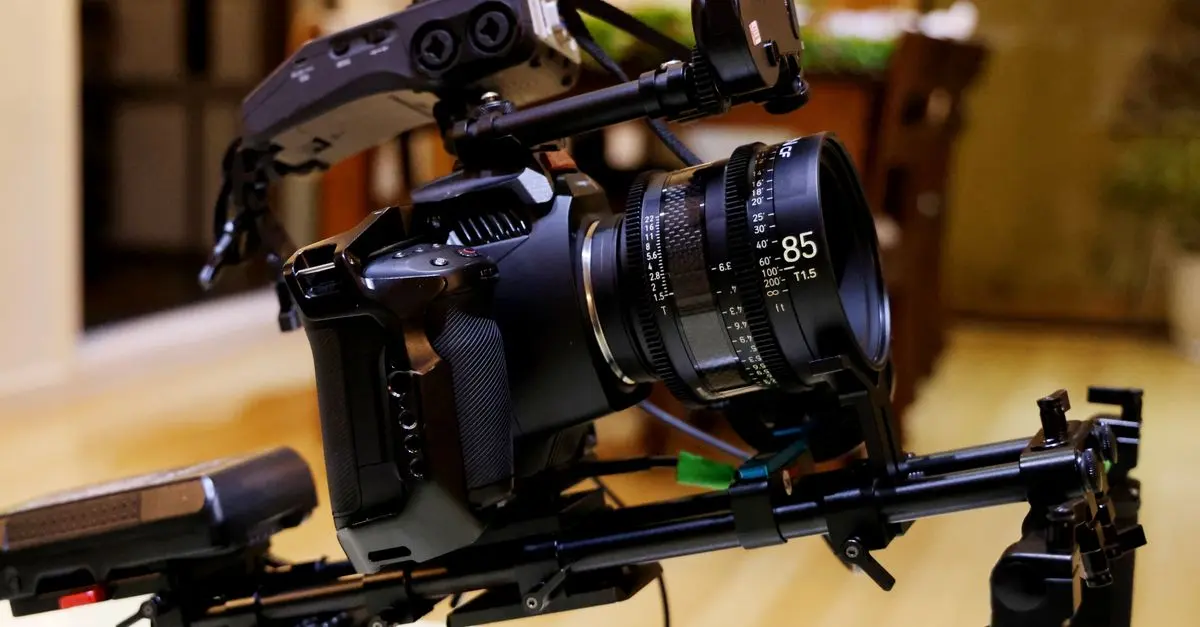 Comparaison entre le reflex numérique et le mirrorless