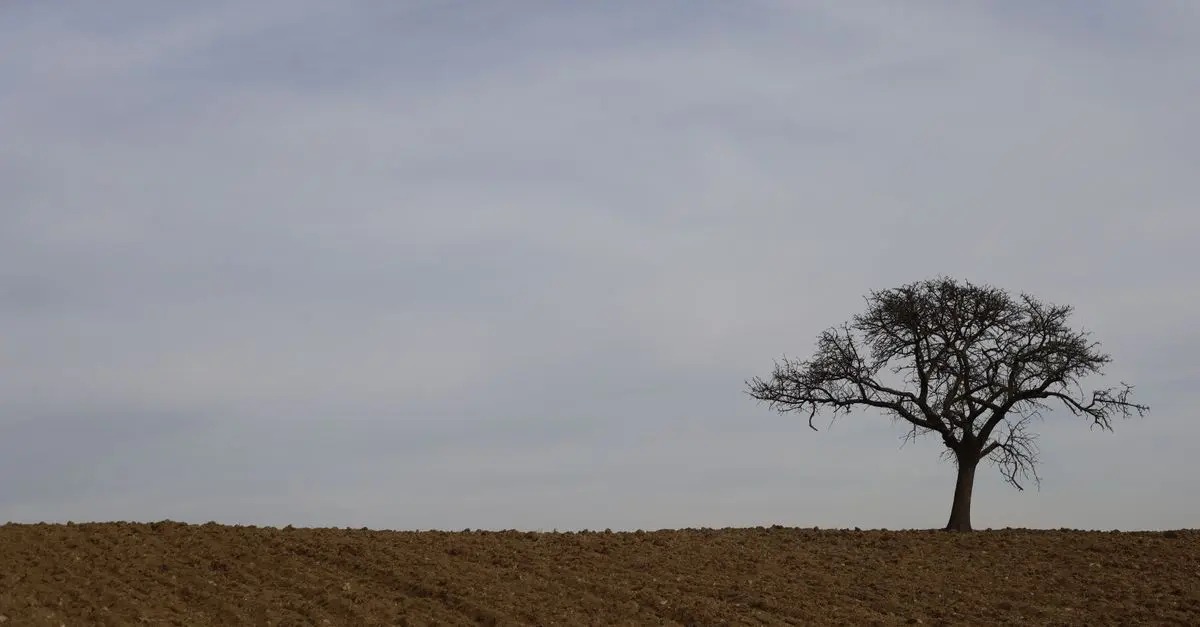 La photographie minimaliste : principes et applications