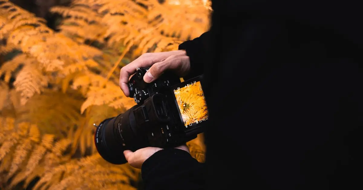 10 Essential Tips for Mastering Artistic Photography Techniques