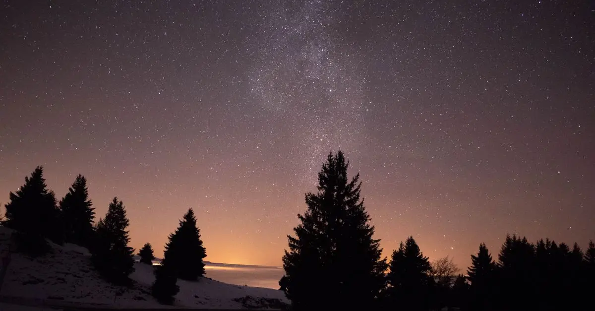Analyse d'une peinture classique: La Nuit étoilée